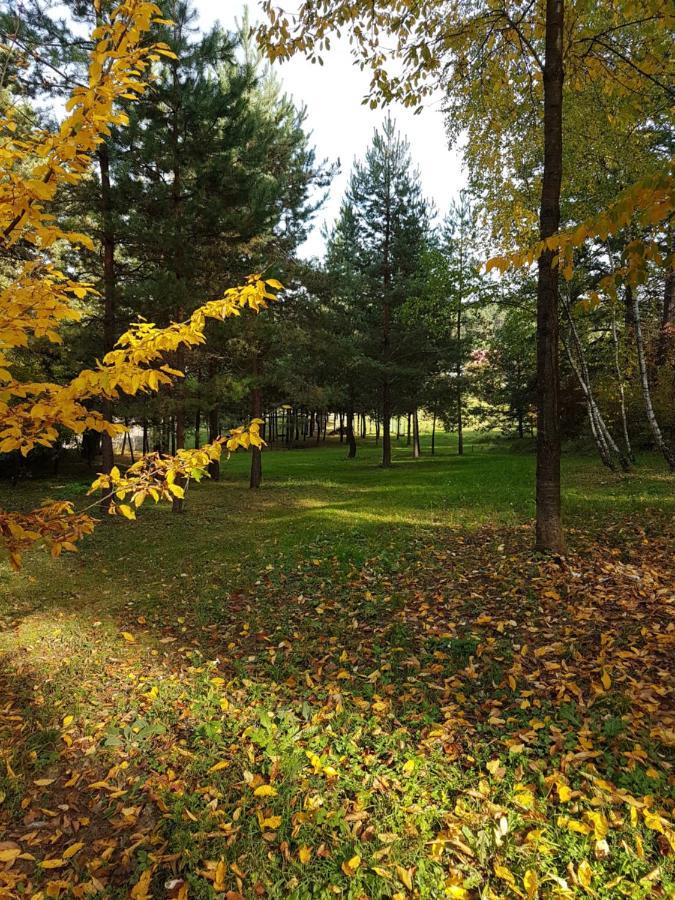 U Stefana Villa Jozefow (Bilgoraj)